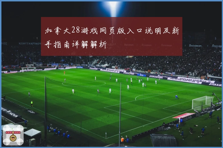 加拿大28游戏网页版入口说明及新手指南详解解析