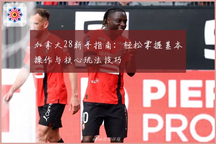 加拿大28新手指南：轻松掌握基本操作与核心玩法技巧