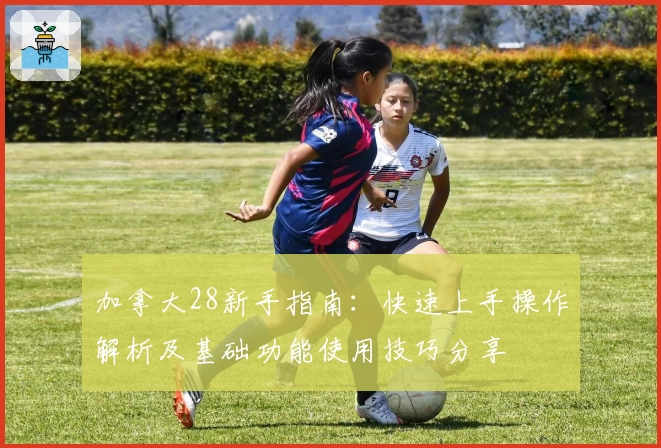 加拿大28新手指南：快速上手操作解析及基础功能使用技巧分享