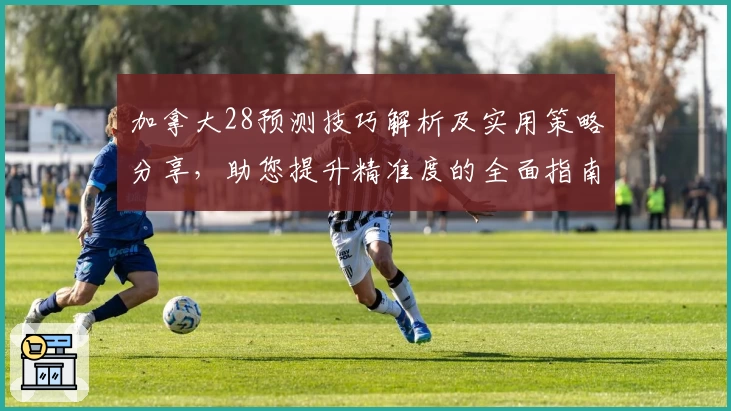 加拿大28预测技巧解析及实用策略分享，助您提升精准度的全面指南