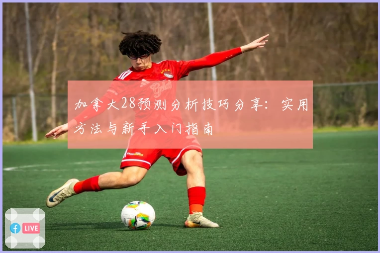 加拿大28预测分析技巧分享：实用方法与新手入门指南