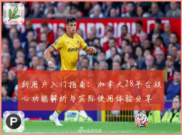 新用户入门指南：加拿大28平台核心功能解析与实际使用体验分享
