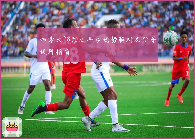 加拿大28预测平台优势解析及新手使用指南