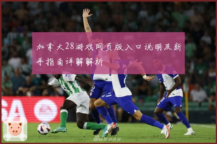 加拿大28游戏网页版入口说明及新手指南详解解析