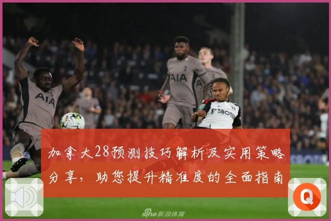 加拿大28预测技巧解析及实用策略分享，助您提升精准度的全面指南