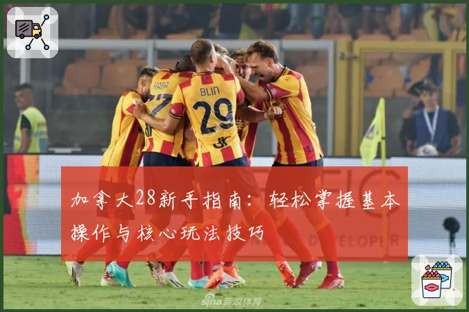加拿大28新手指南：轻松掌握基本操作与核心玩法技巧